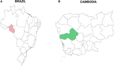 Naturally Acquired Antibody Response to Malaria Transmission Blocking Vaccine Candidate Pvs230 Domain 1